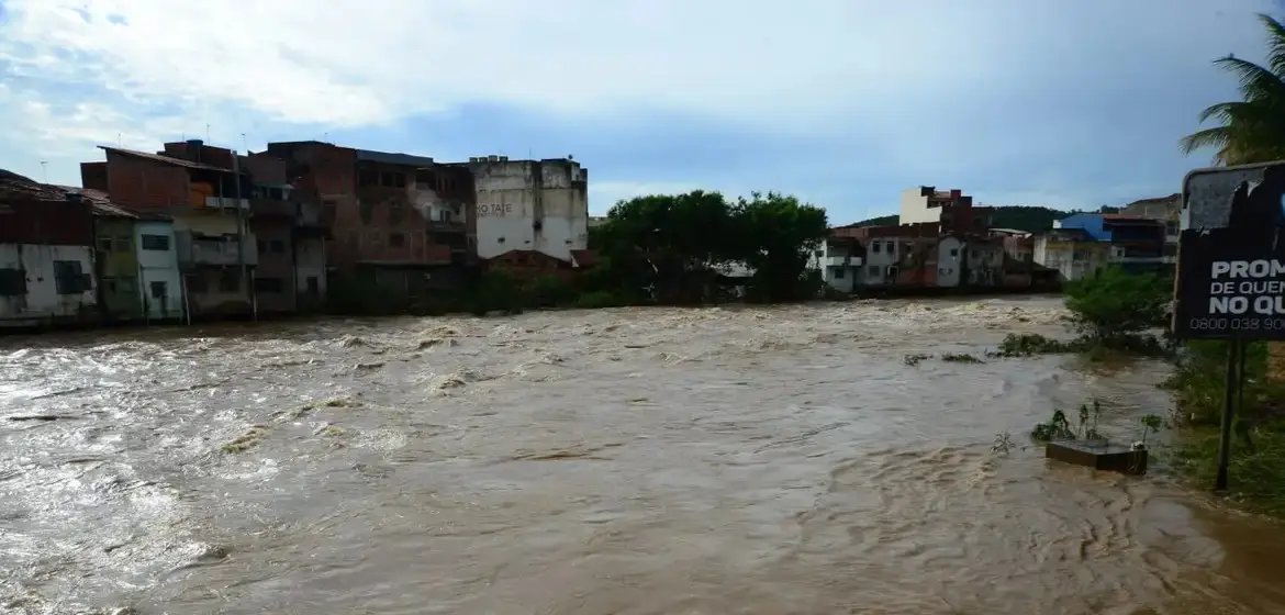 Indenizações seguro auto chuvas Zona da Mata Juiz de Fora Ubá planejamento financeiro SEO AdSense