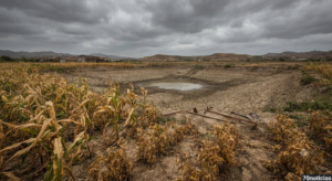 Imagem representando o impacto do El Niño na agricultura